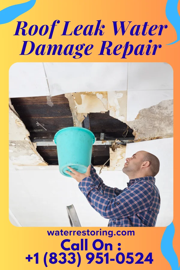 Roof Leak Water Damage Repair in Kenwood, OK